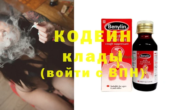 трава Новозыбков