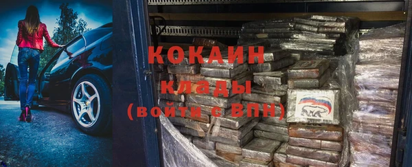 трава Новозыбков