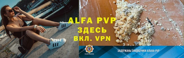 трава Новозыбков